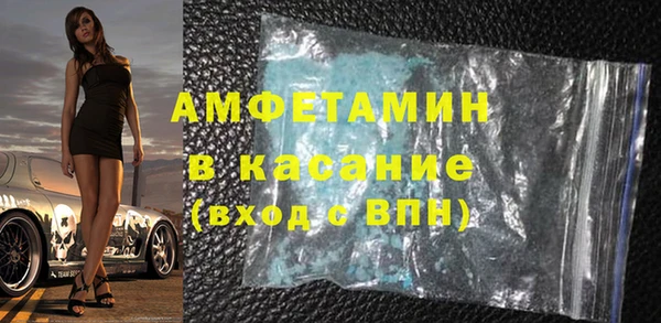индика Нея