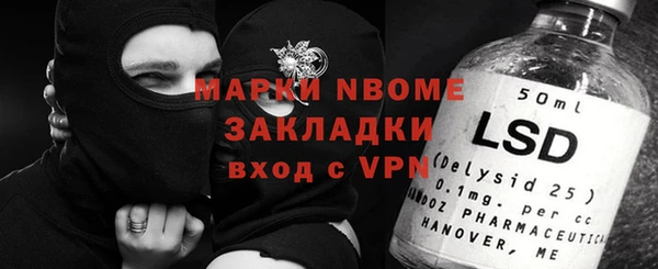 индика Нея