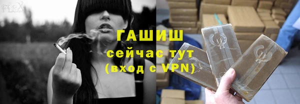индика Нея