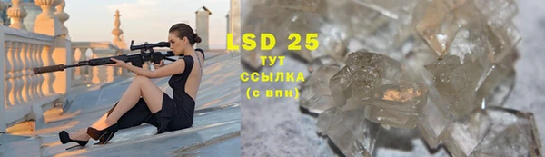 индика Нея