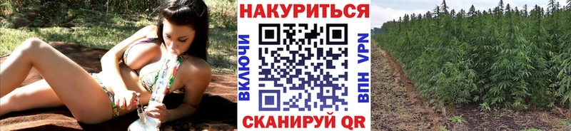 хочу наркоту  Моршанск  Марихуана семена 